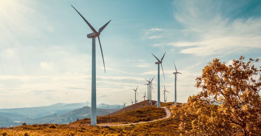 bhp, wind farm, wind, electricity, green