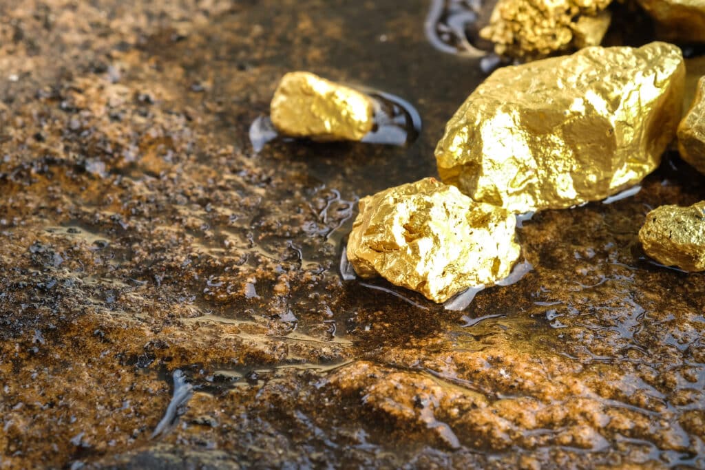 Maiden drilling at Platina Resources’ Xanadu gold project in WA has confirmed a large-scale gold system over 600m by 600m in all directions.