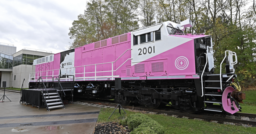 Pink train